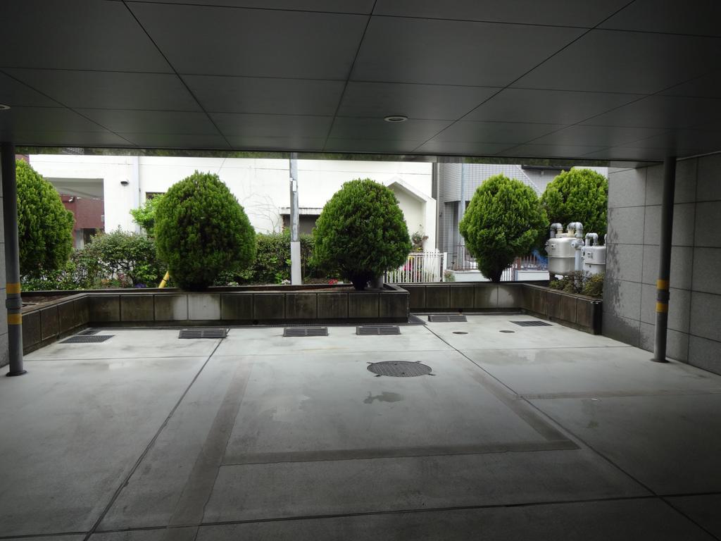 Forest Hongo Tokyo Luaran gambar