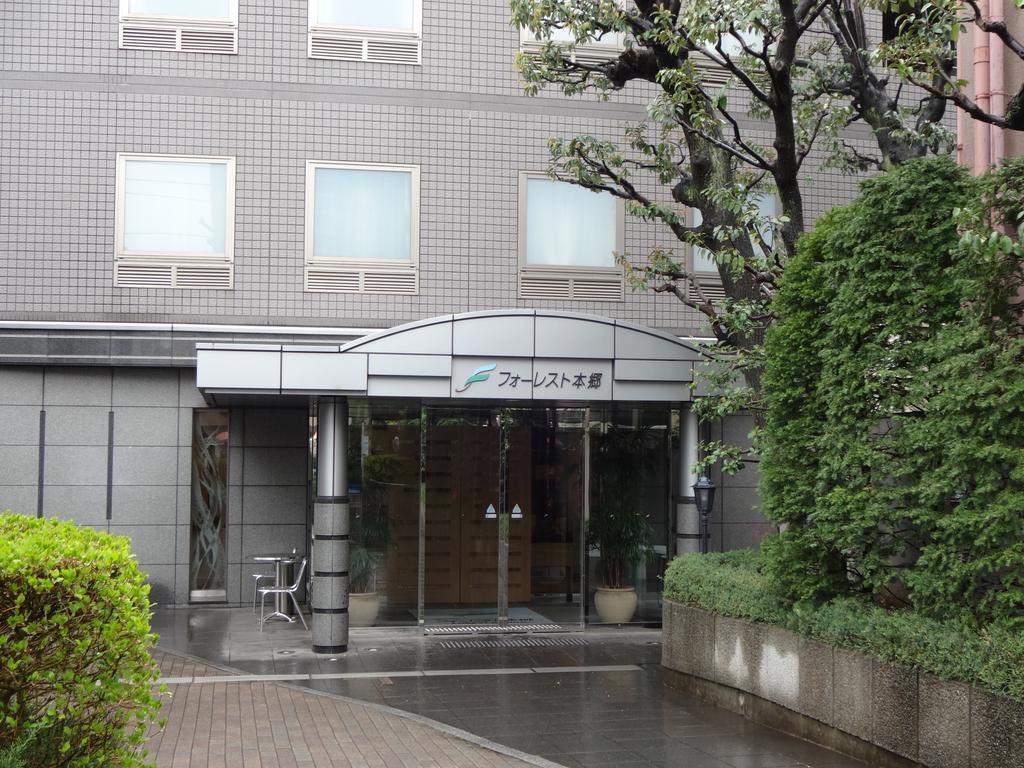 Forest Hongo Tokyo Luaran gambar